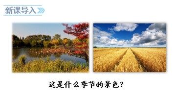 11 秋天的雨