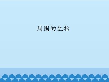 周围的生物_课件1