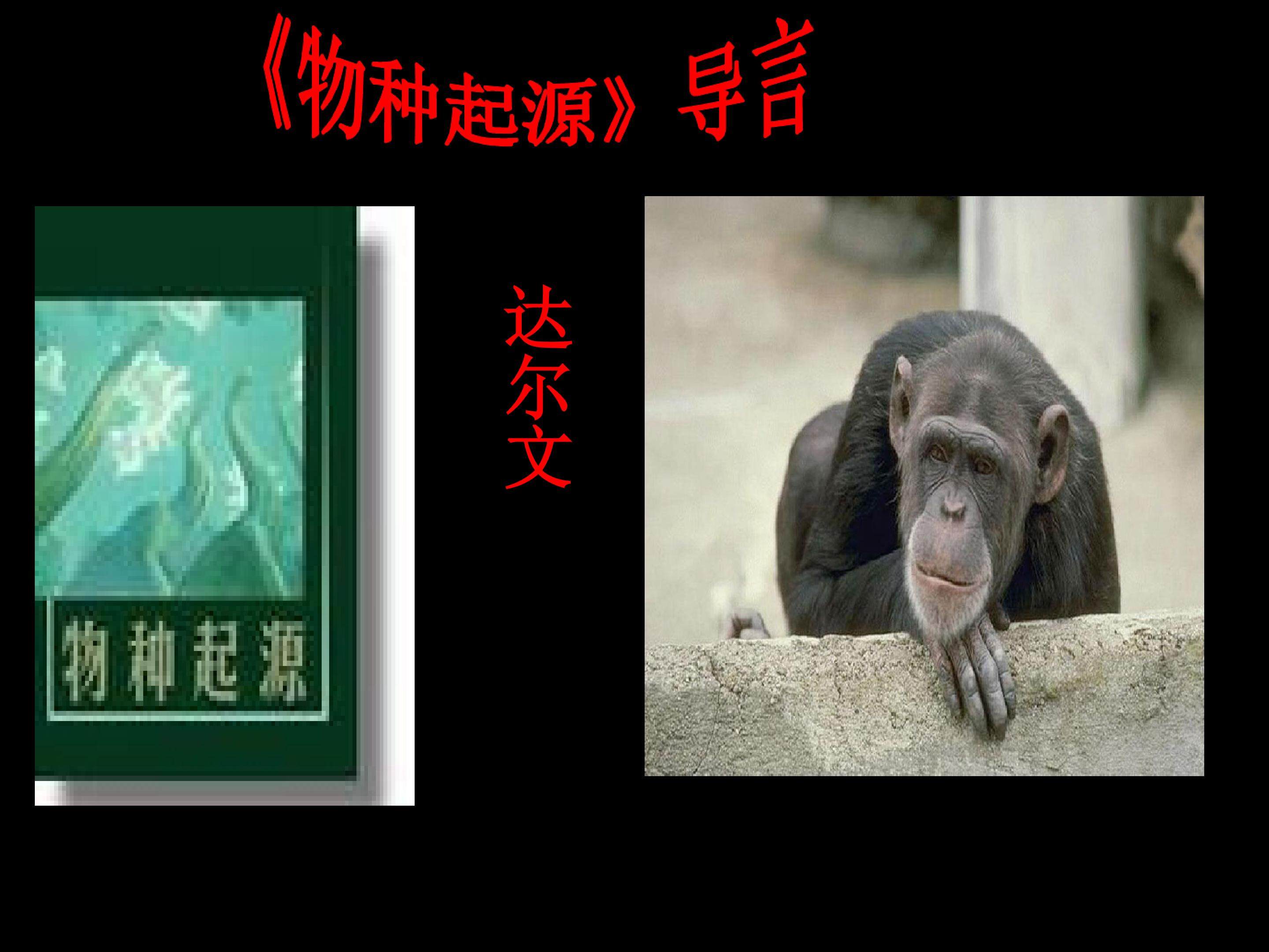 《物种起源》绪论_课件1