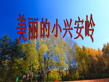23 美丽的小兴安岭