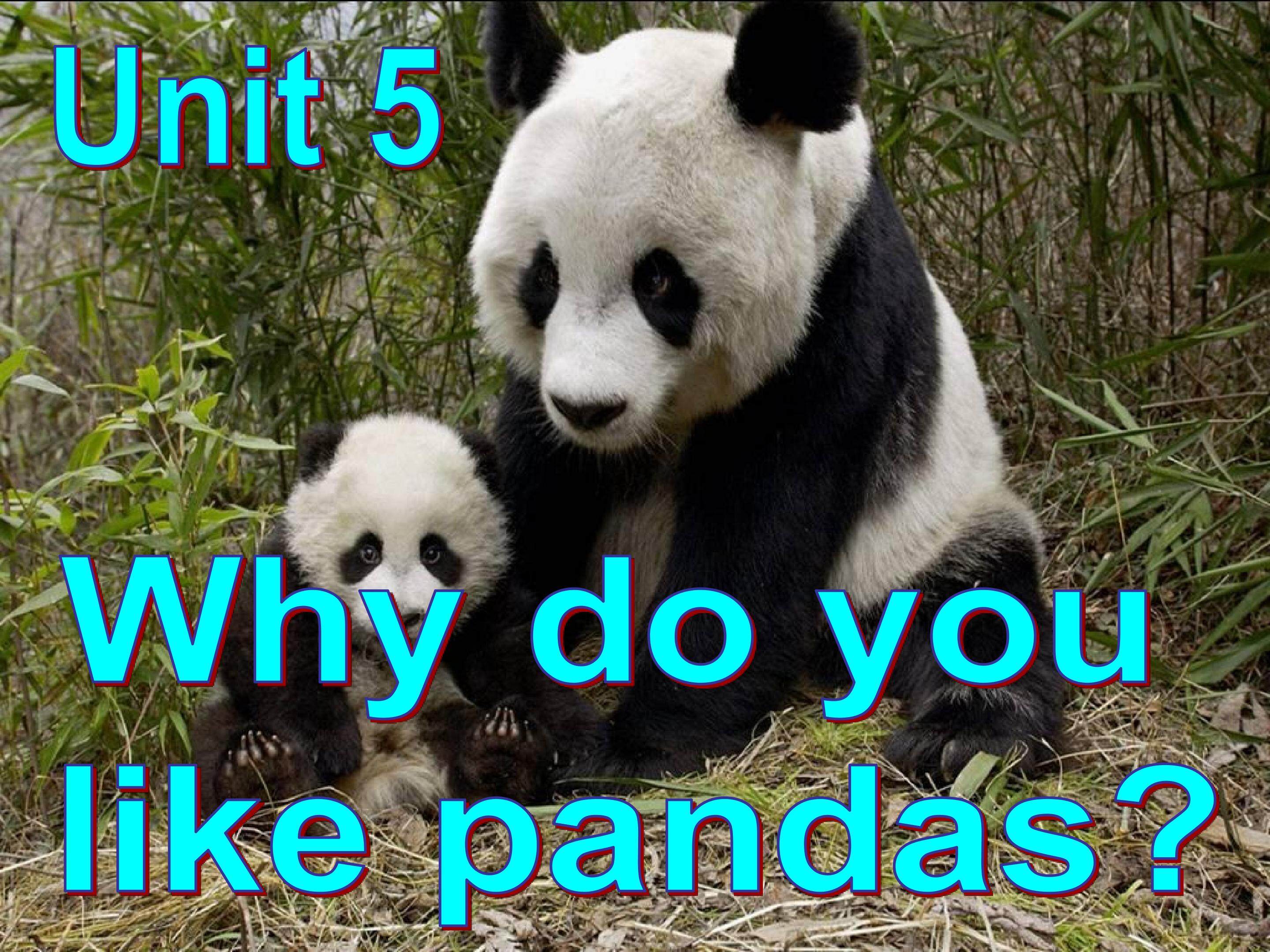 Unit 5 Why do you like pandas?