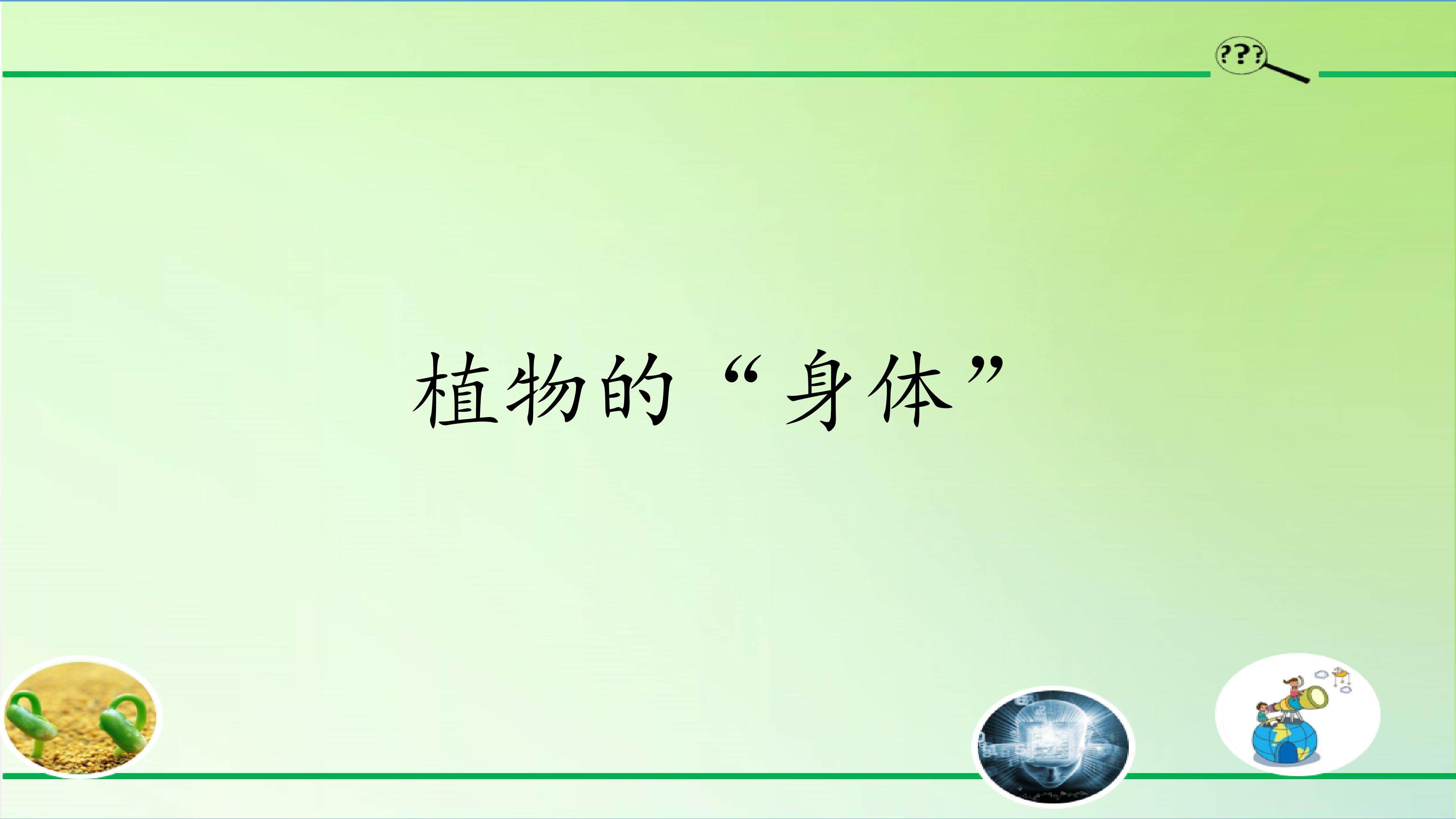 植物的“身体”