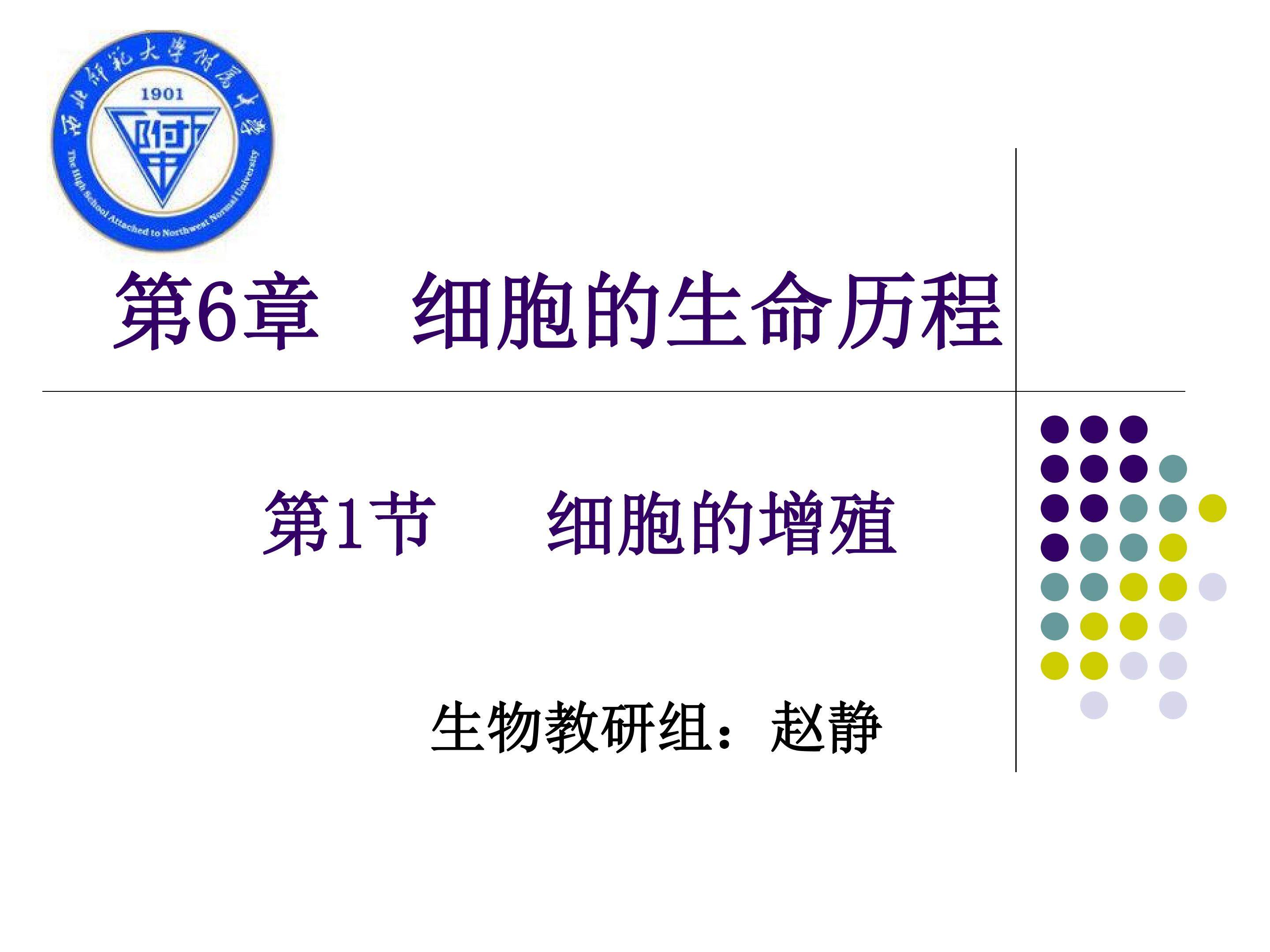 细胞的增殖