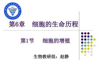 细胞的增殖