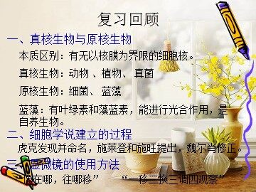第1节  细胞中的元素和化合物