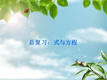 《式与方程》课件1