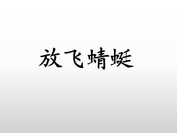 放飞蜻蜓_课件1