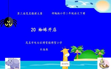 20 蜘蛛开店