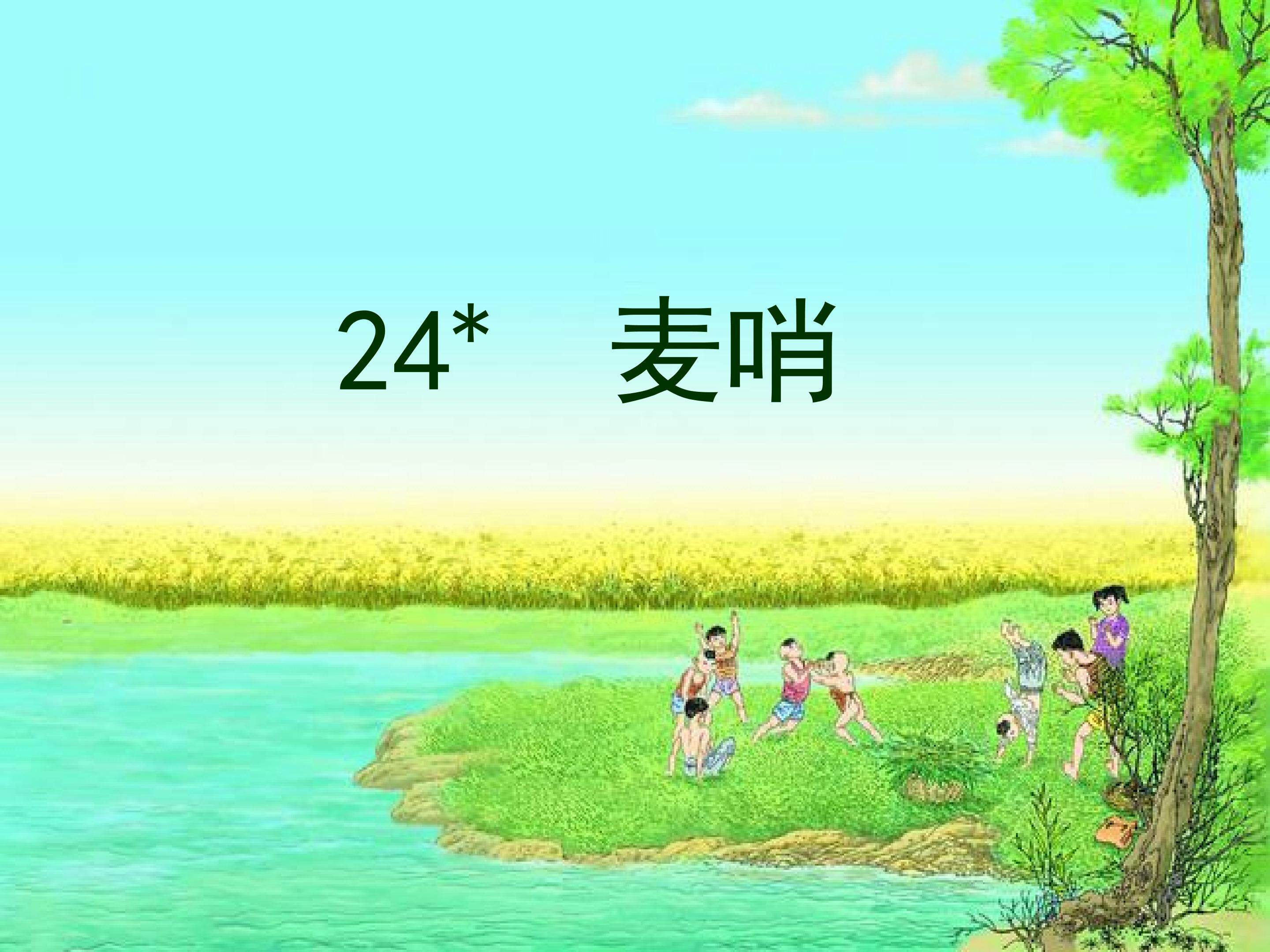 麦哨