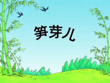 笋芽儿_课件1