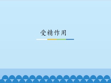 受精作用_课件1