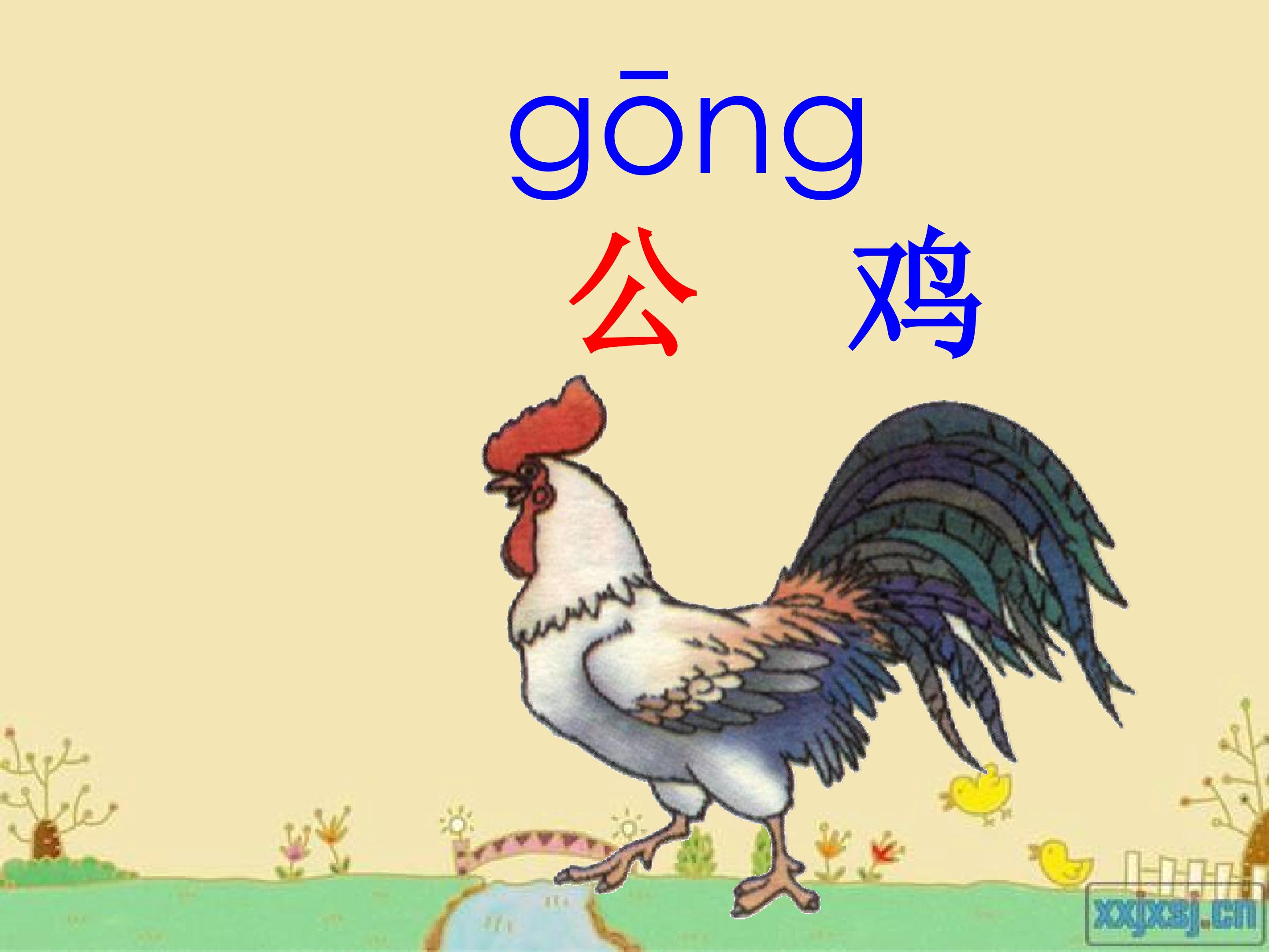 17.jpg