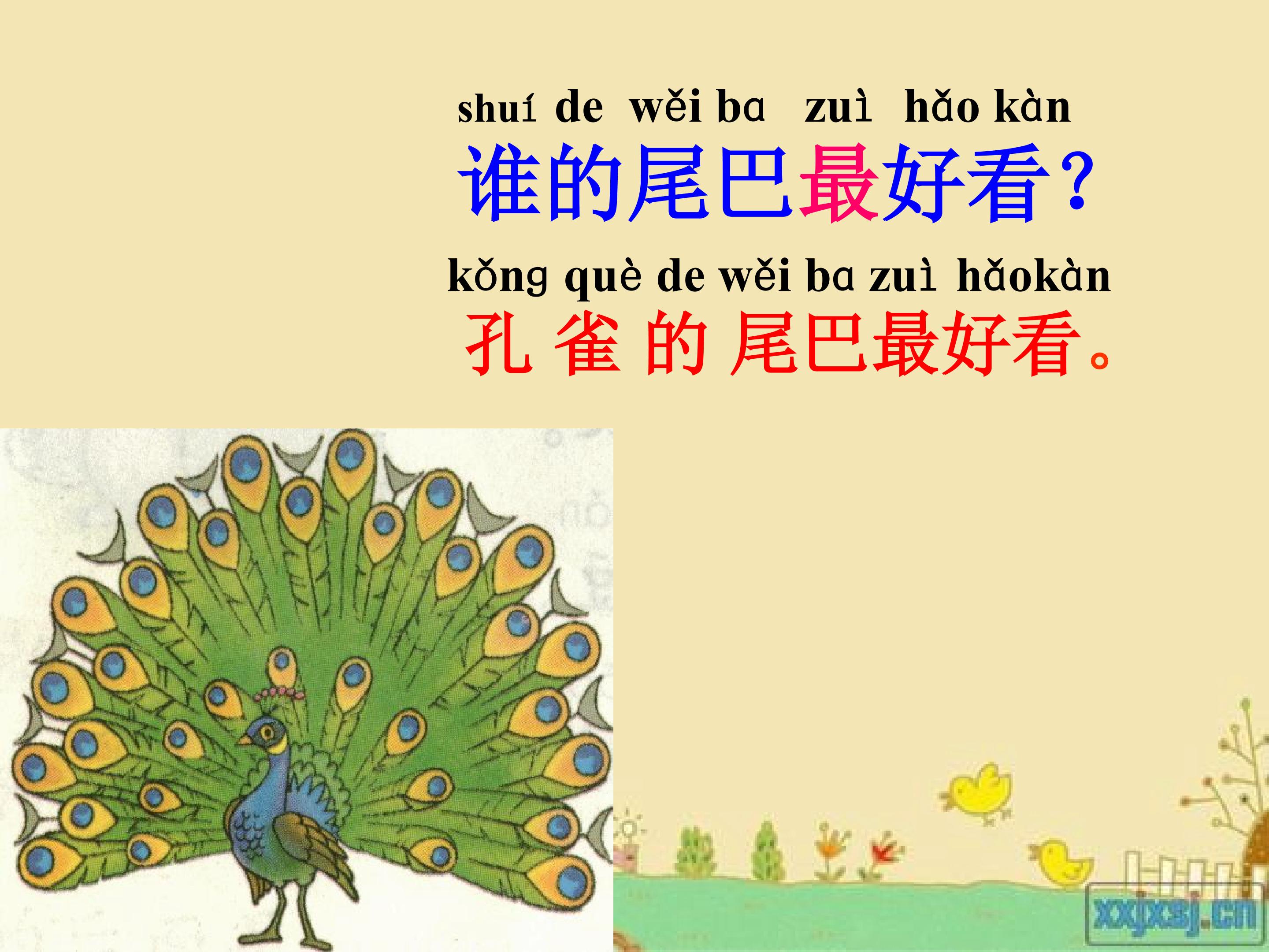 46.jpg