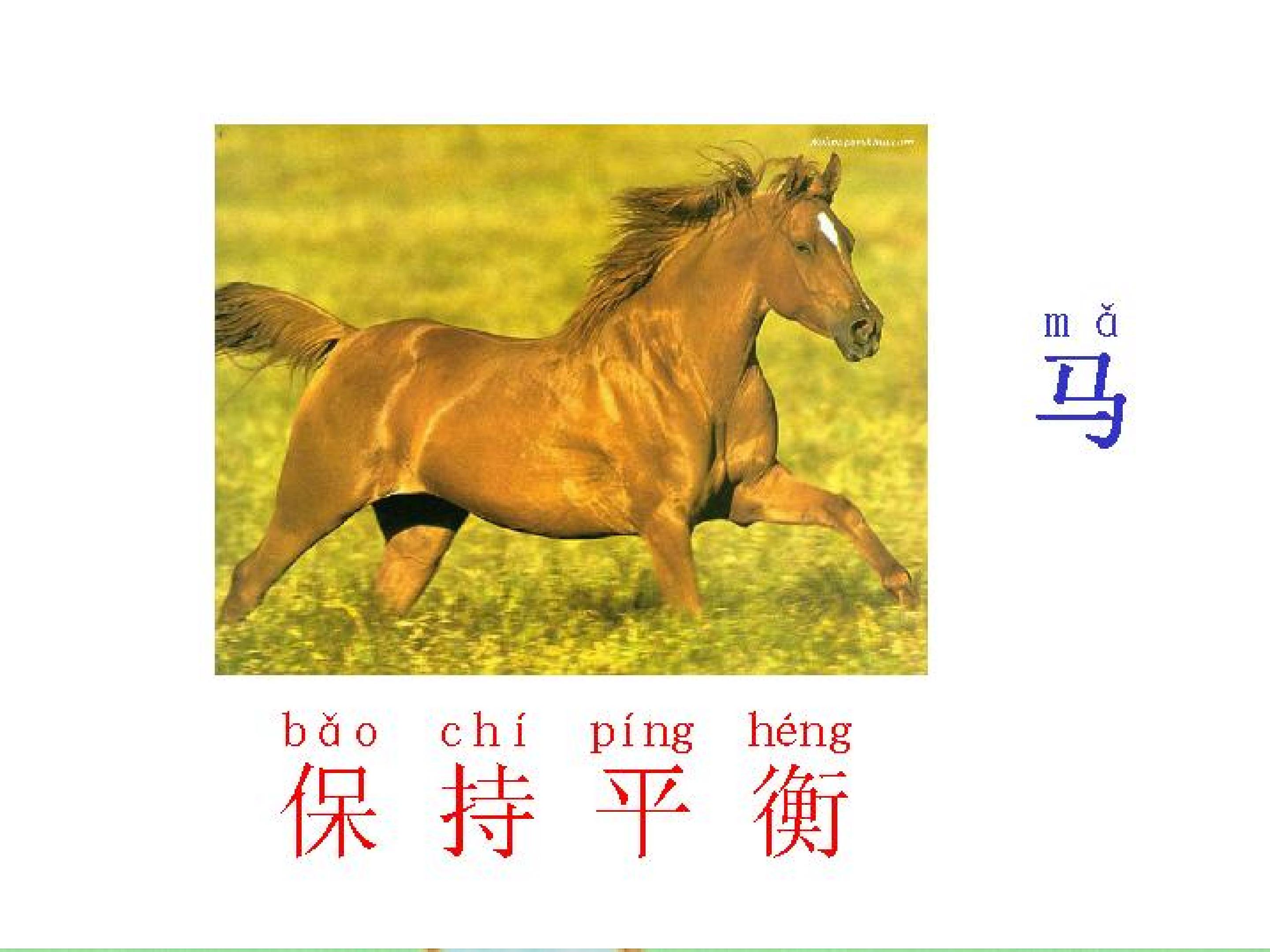66.jpg