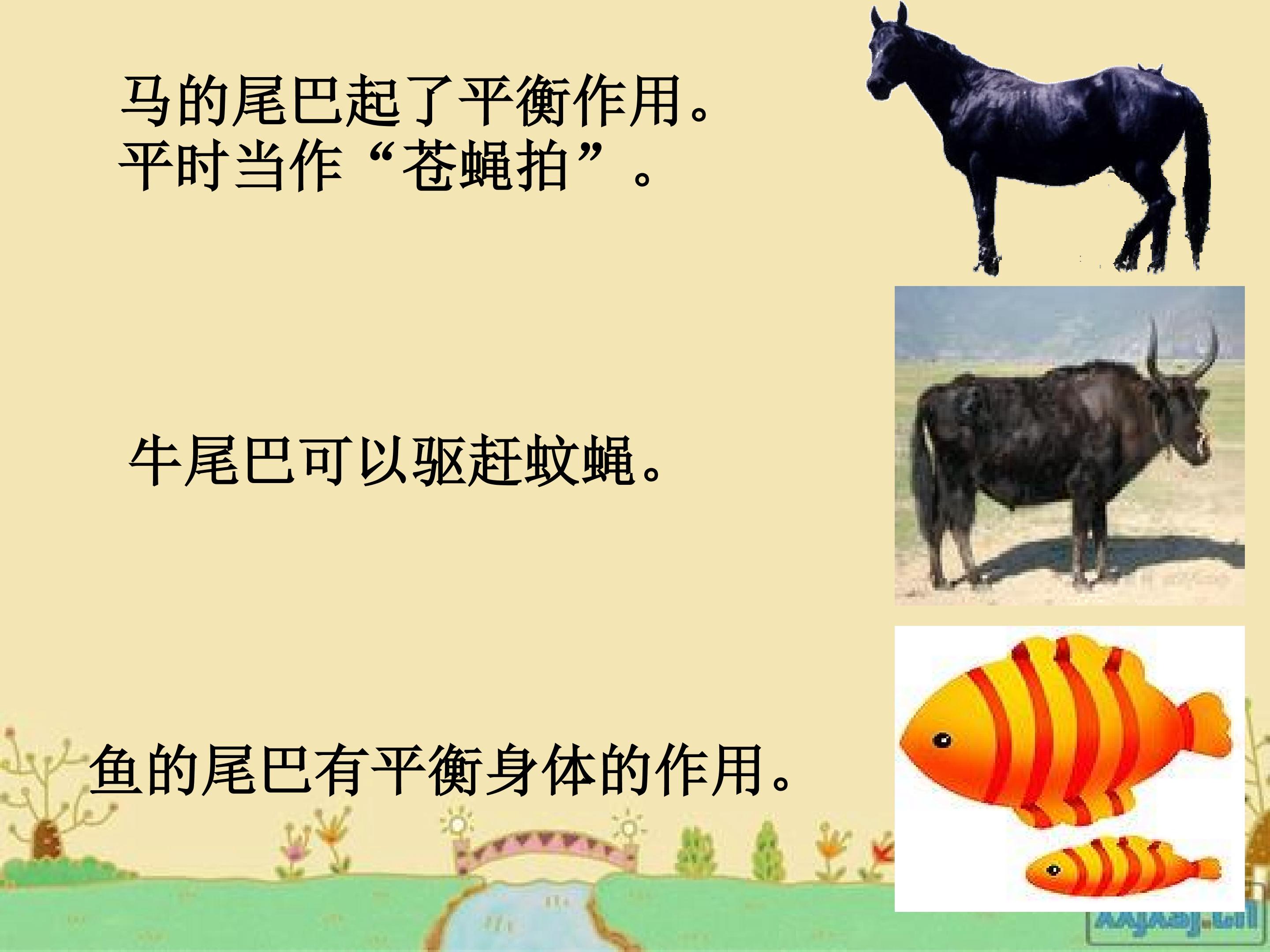 73.jpg