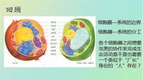 第1节  从生物圈到细胞