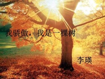 我骄傲，我是一棵树_课件2
