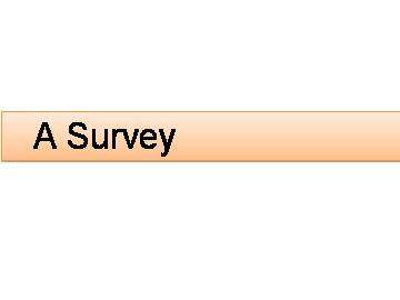 Project A Survey_课件1