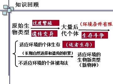 生物高中必修2第七章第二节第一课时课件1