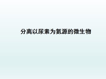 分离以尿素为氮源的微生物_课件1