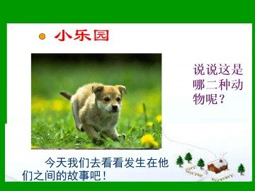 小老虎的狗妈妈_课件1