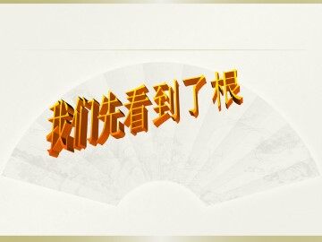 我们先看到了根_课件1