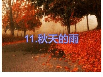 11 秋天的雨