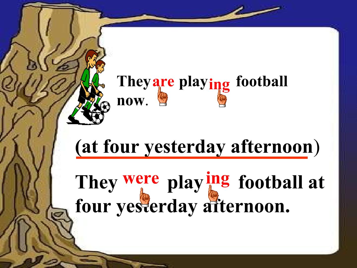 17.jpg