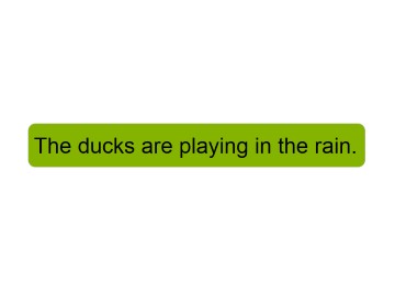 The ducks are playing in the rain._课件1