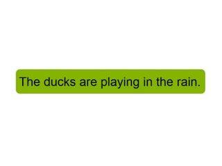 The ducks are playing in the rain._课件1