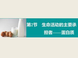 生命活动的主要承担者----蛋白质(一)