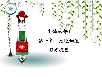 第1节  从生物圈到细胞
