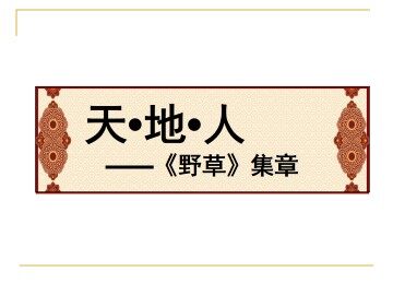天·地·人----《野草》集章_课件1