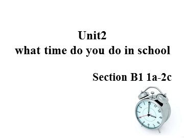Section B