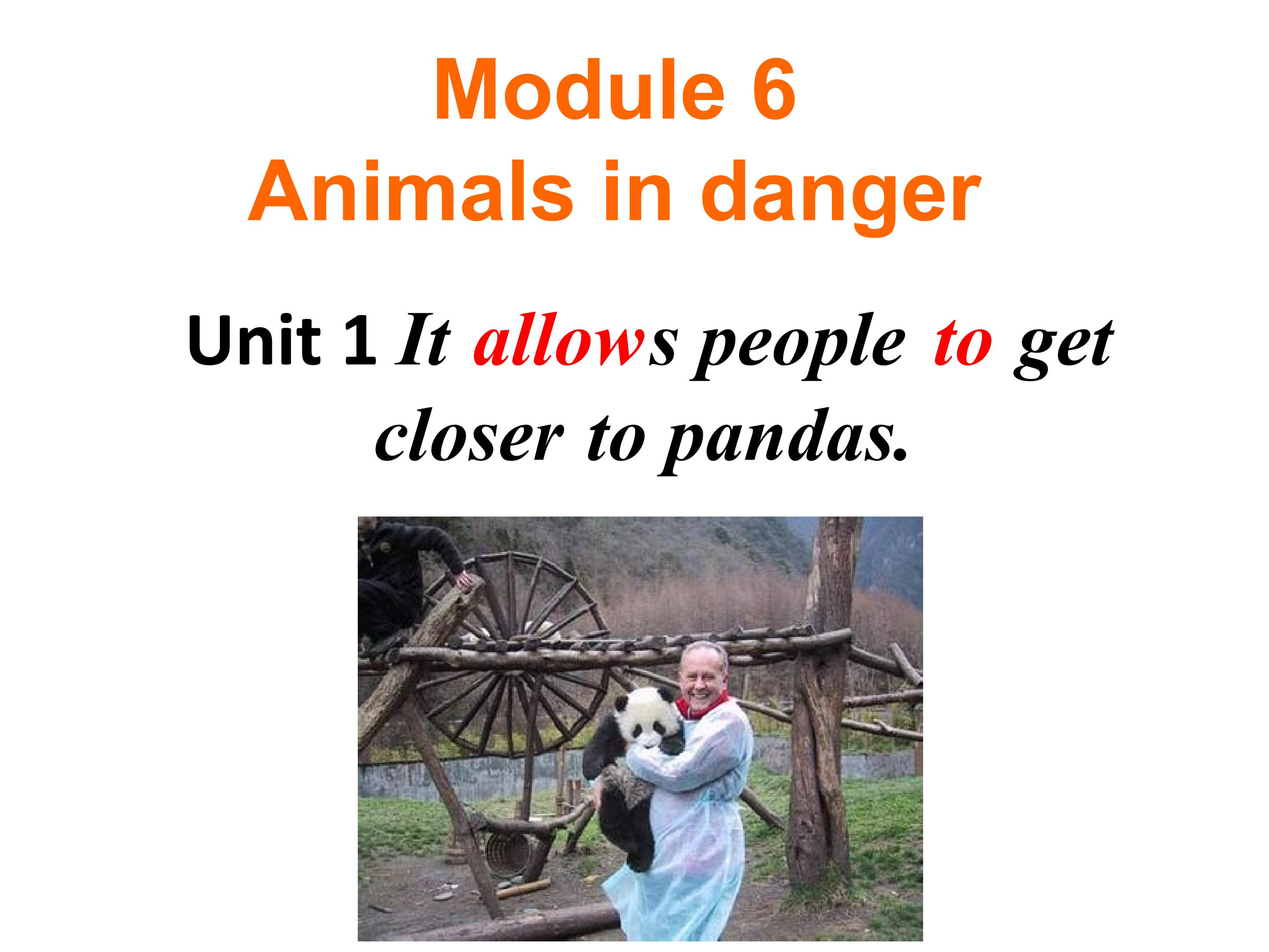 It allows people to get closer to pandas