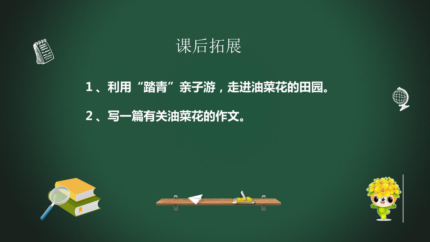 13.jpg
