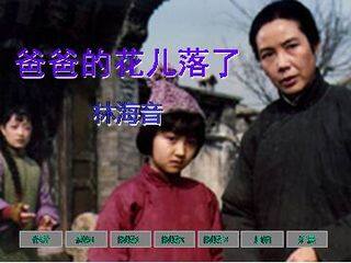 爸爸的花儿落了_课件10