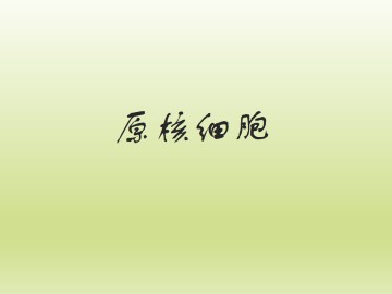 原核细胞_课件1