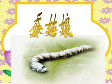 蚕姑娘_课件1