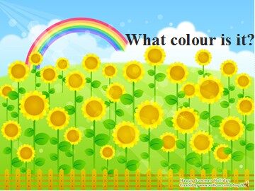 Unit 5  What colour is it?