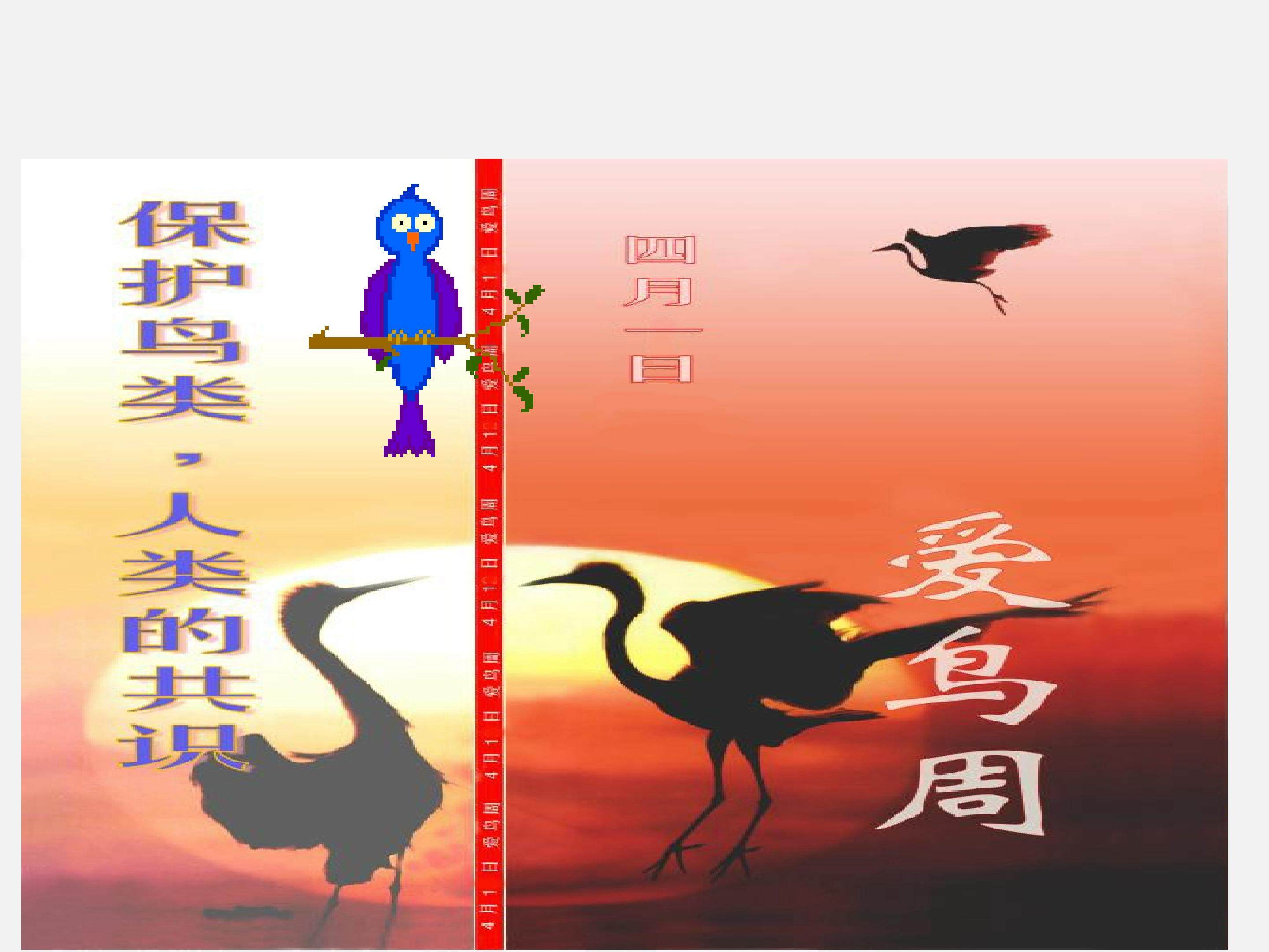 鸟_课件1