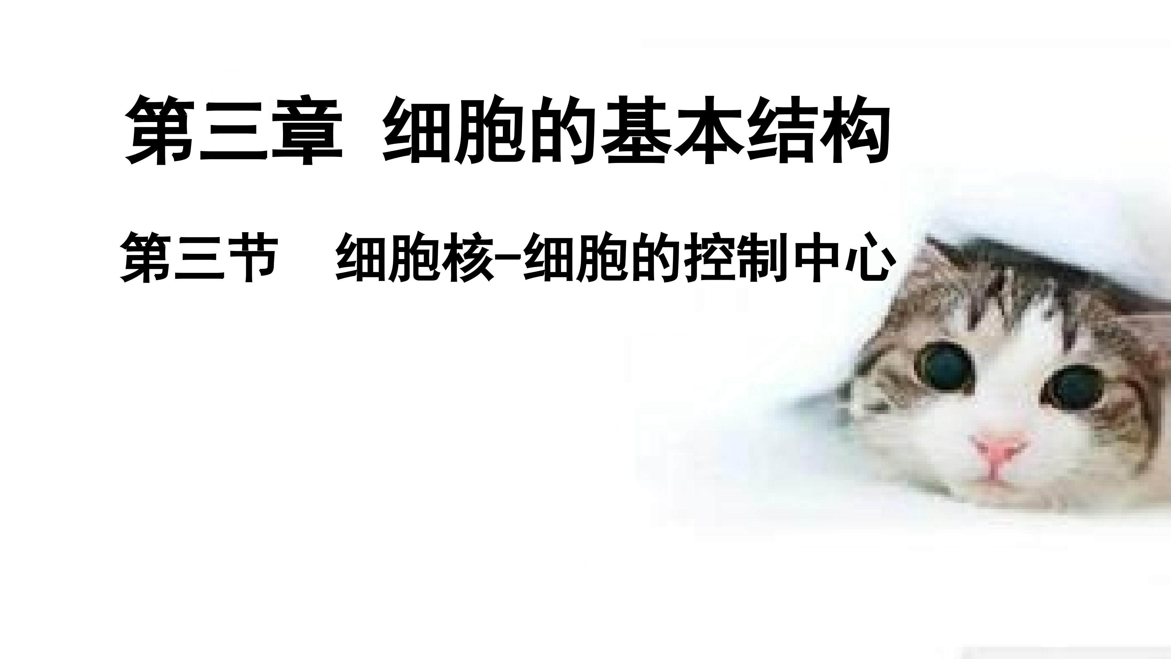 细胞核----系统的控制中心