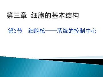 第3节  细胞核——系统的控制中心