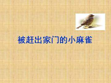 被赶出家门的小麻雀_课件1