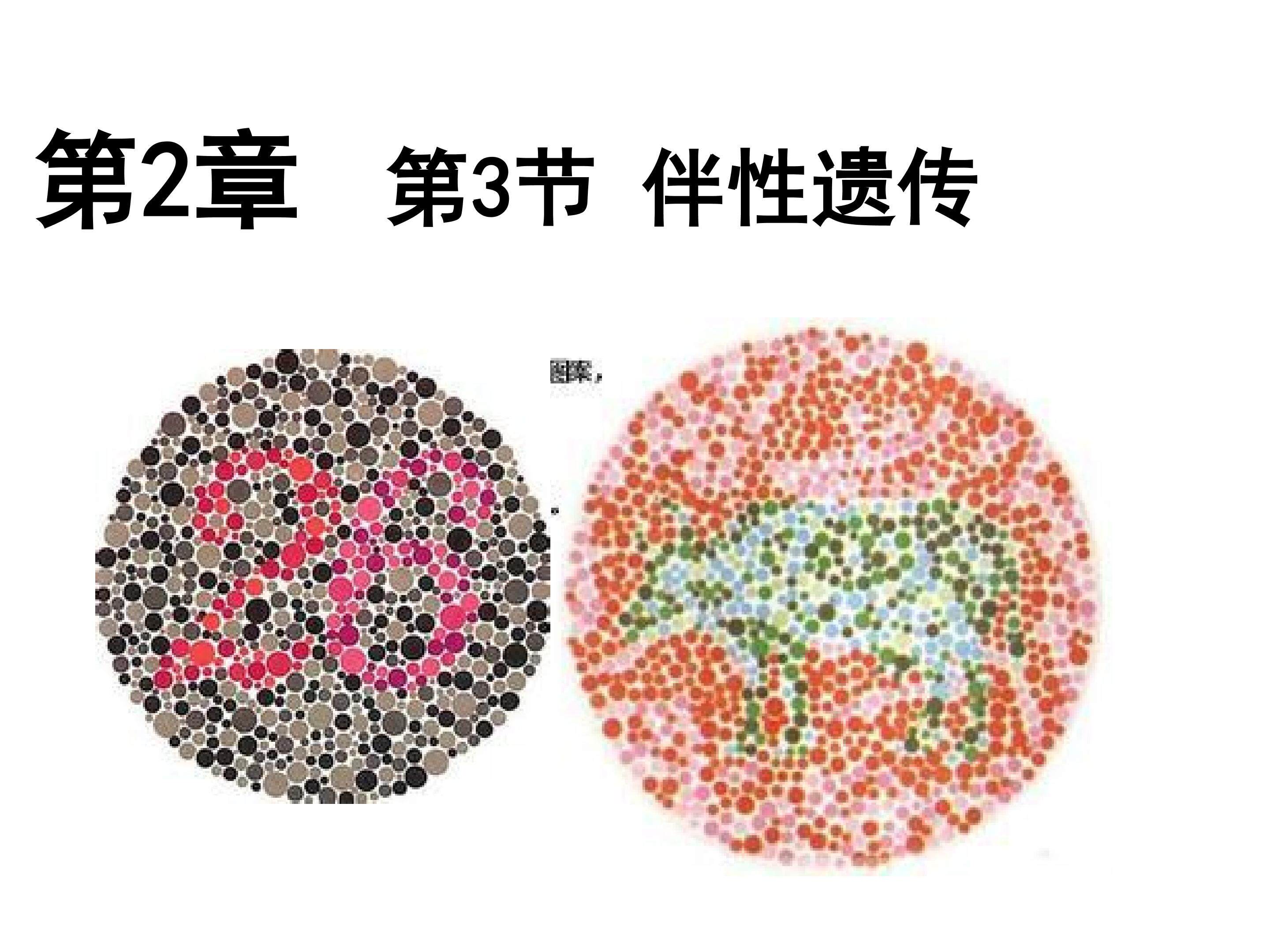 伴性遗传
