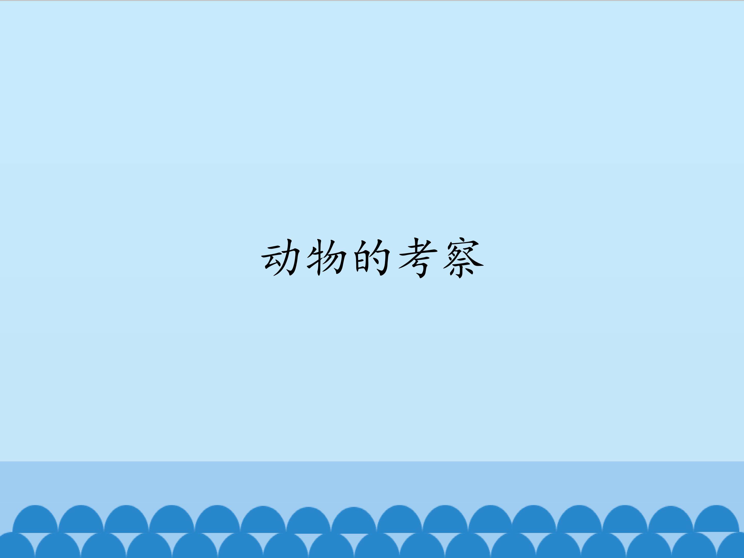 动物的考察_课件1