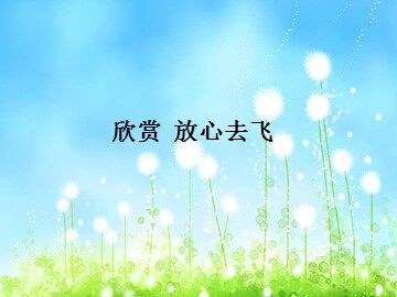 放心去飞_课件1
