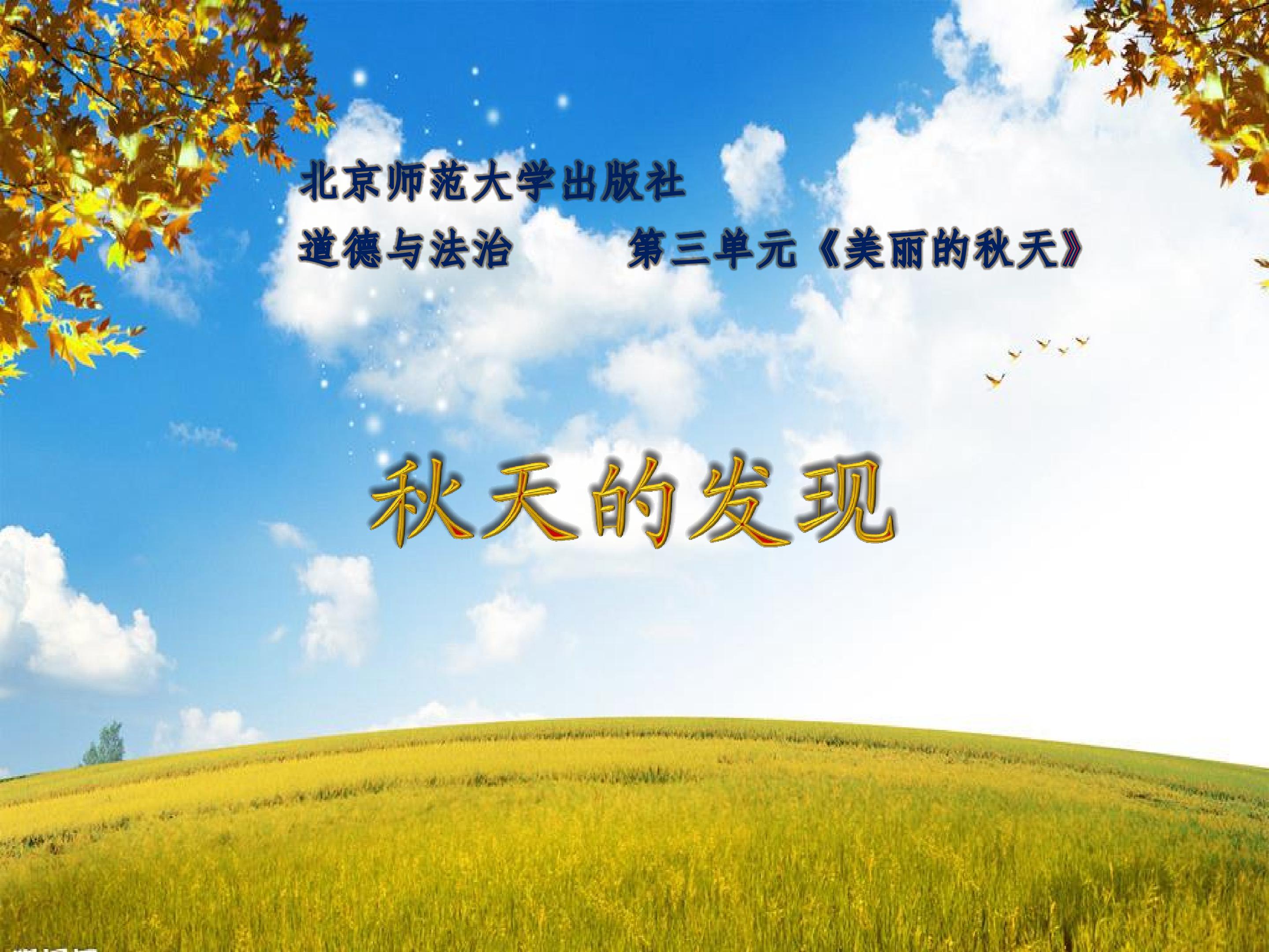 秋天的发现