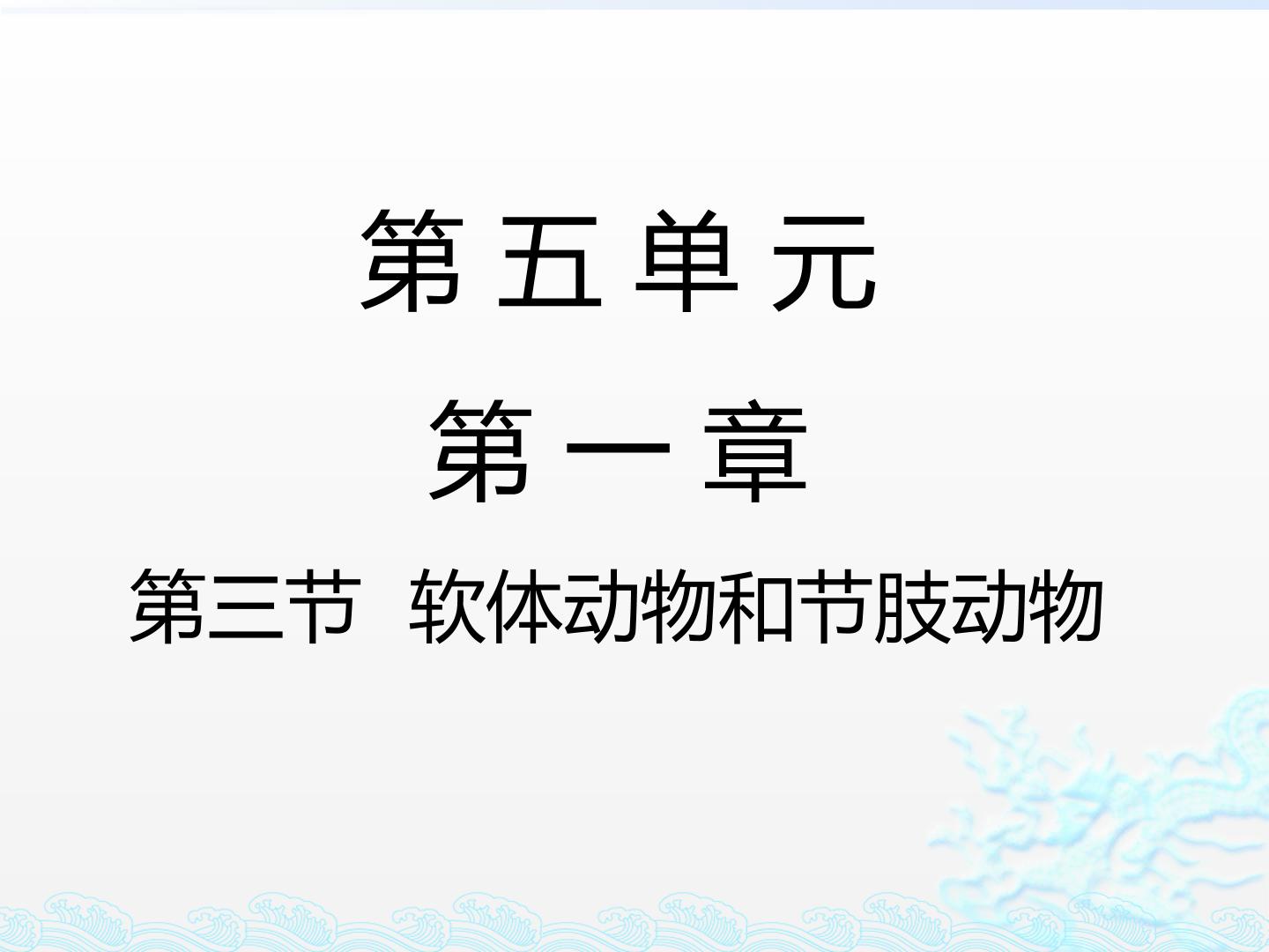 第三节  软体动物和节肢动物