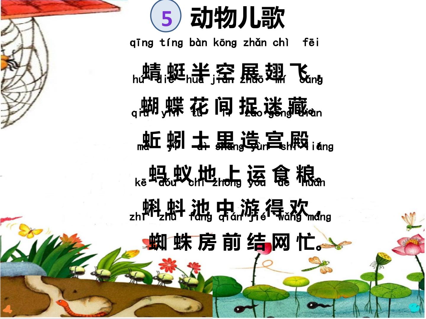 43.jpg